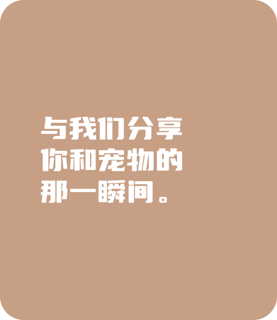 今年会·(jinnianhui)金字招牌宠物，无处不在